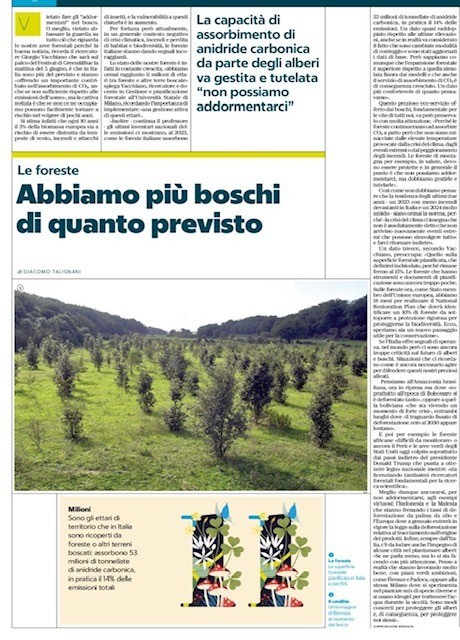 immagine1