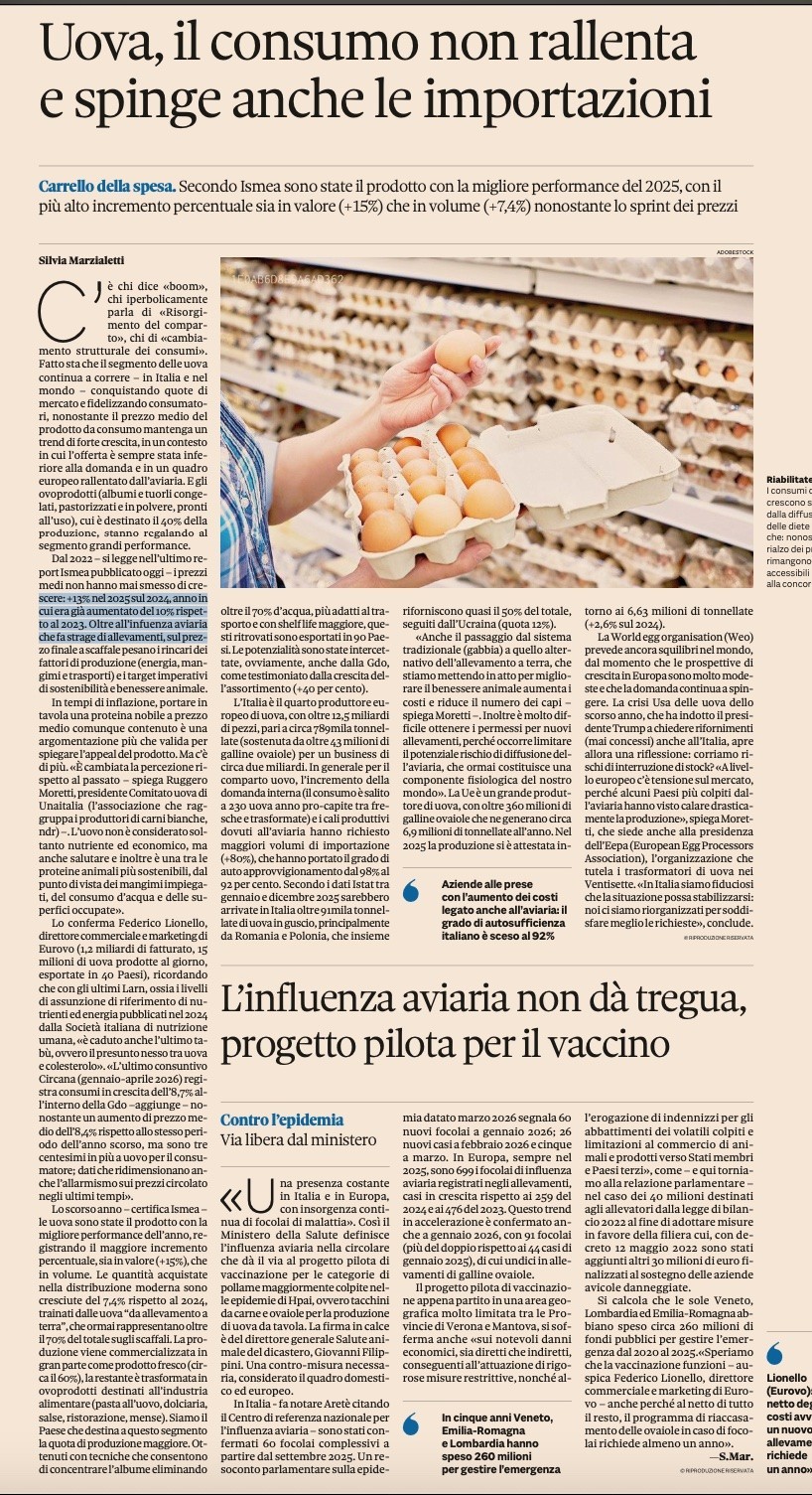 Uova e aviaria Il Sole 24 ore 30 maggio 2026