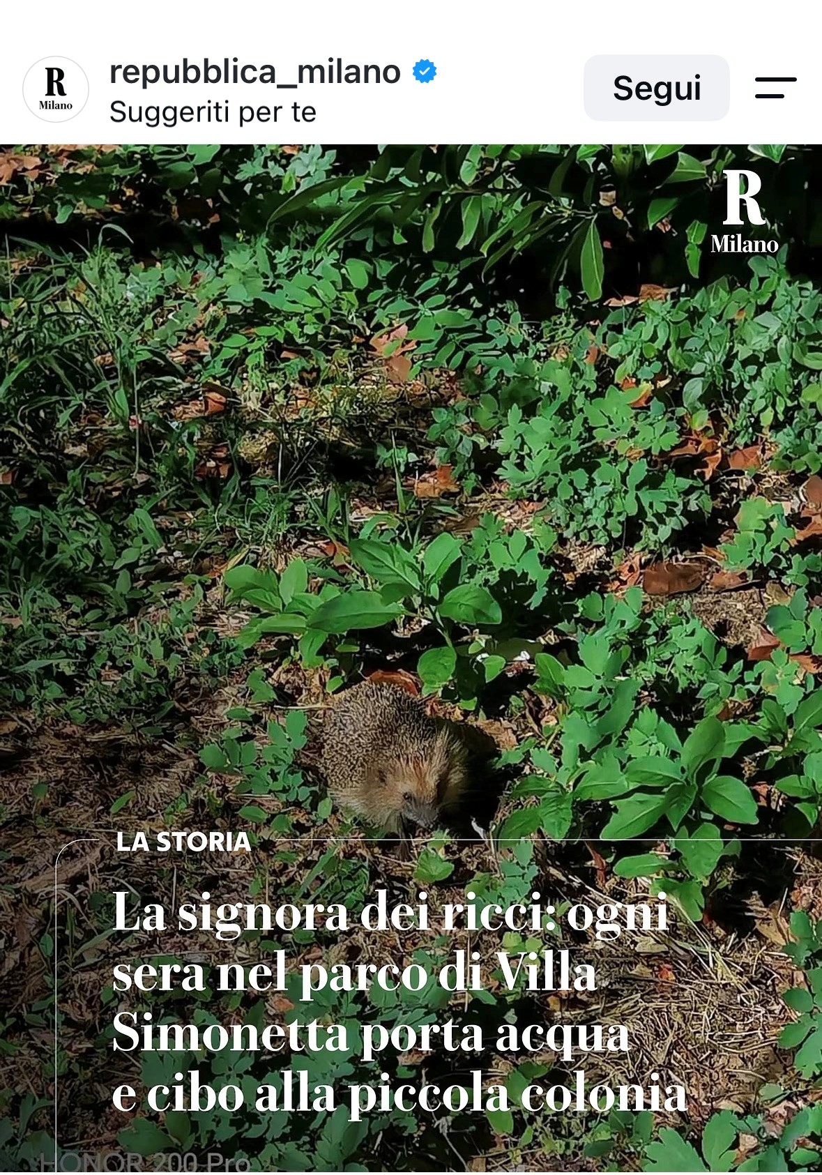 Ricci Villa Simonetta Milano