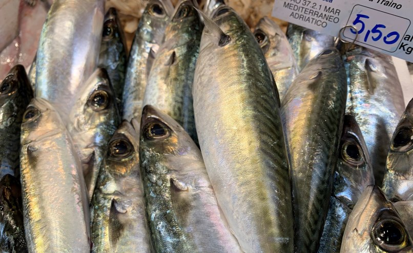 Pesce-Mediterraneo-cover-1
